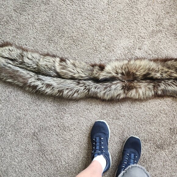 #672 Silver fox - Picture 7 of 7